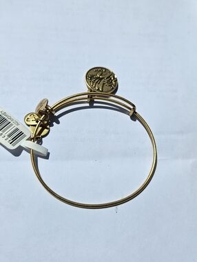 Alex and Ani Because I Love You SISTER  Bangle Bracelet Tags  Retired